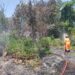 Bombeiros combatem incêndio no bairro Veredas em Araxá