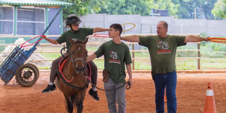Mais de 140 crianças e adolescentes são atendidos pela Equoterapia Prosseguir