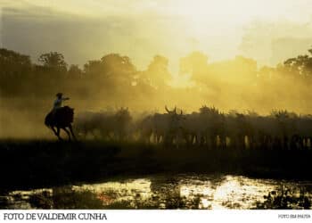 Projeto Foto em Pauta promove oficina de fotografia em Araxá neste fim de semana; inscrições estão abertas