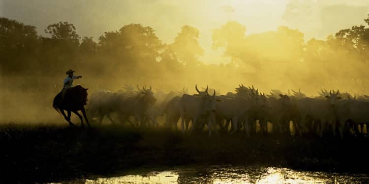Projeto Foto em Pauta promove oficina de fotografia em Araxá neste fim de semana; inscrições estão abertas