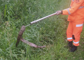Bombeiros capturam jiboia de 1,5 metro no bairro Boa Vista