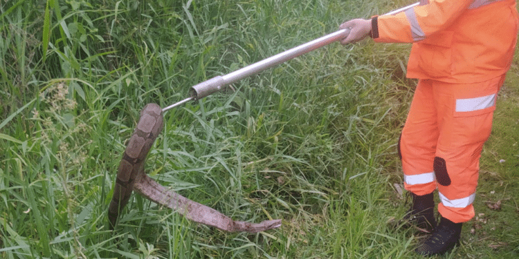 Bombeiros capturam jiboia de 1,5 metro no bairro Boa Vista