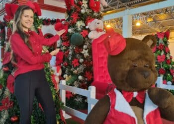 FestNatal: fim de semana tem Papai Noel e grandes shows