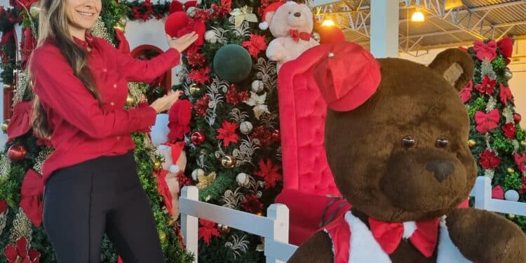 FestNatal: fim de semana tem Papai Noel e grandes shows