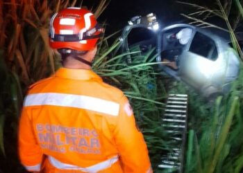 Capivara na pista provoca acidente e mãe e filha ficam feridas na BR-262
