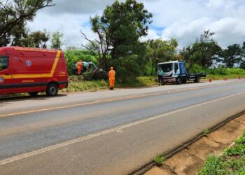 Idoso de 63 anos morre em capotamento na BR-452
