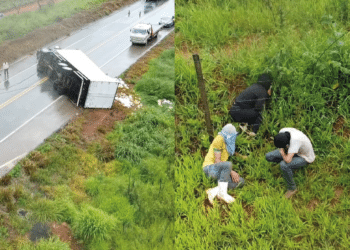 Caminhão com caixas de suco tomba na BR-262 e drone da PRF flagra pessoas saqueando a carga