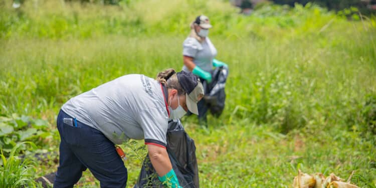 Primeiro LIRAa de 2024 aponta índice de 2,9% de infestação do mosquito da dengue em Araxá; registro é 1,3% menor em relação a 2023