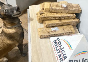 Mulher é presa com 11 barras de maconha durante abordagem na rodoviária de Araxá