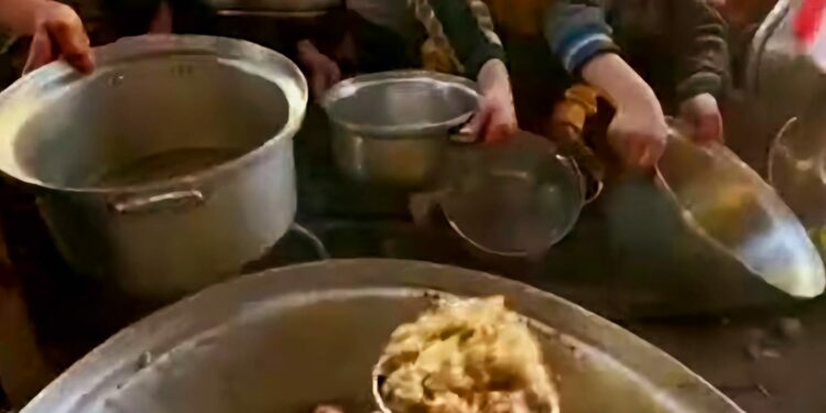 Risco de fome catastrófica sobe para 1,1 milhão de palestinos em Gaza