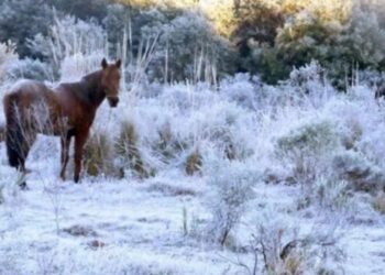 RS terá temperaturas próximas de 0ºC e geada a partir de 14/05/2024
