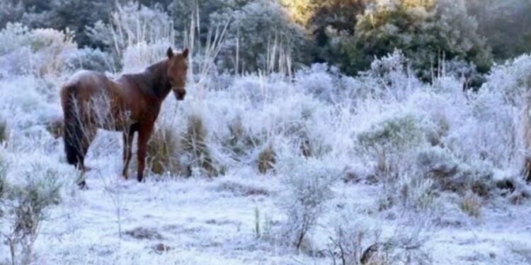 RS terá temperaturas próximas de 0ºC e geada a partir de 14/05/2024