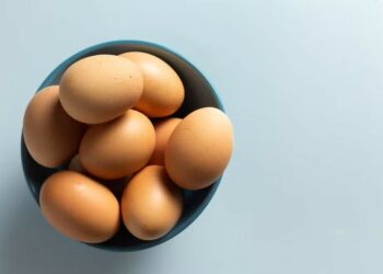 EUA quase dobram compra de ovos do Brasil e passam a permitir seu consumo por humanos