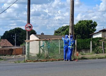 CRONOGRAMA SERVIÇOS URBANOS E RURAIS: QUINTA-FEIRA, 13 DE MARÇO