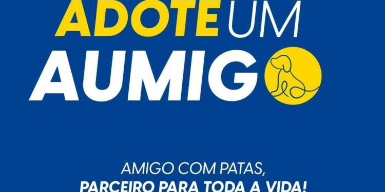 Canil Municipal promove campanha “Adote um AUmigo” com mais de 150 cães disponíveis para adoção