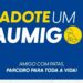 Canil Municipal promove campanha “Adote um AUmigo” com mais de 150 cães disponíveis para adoção