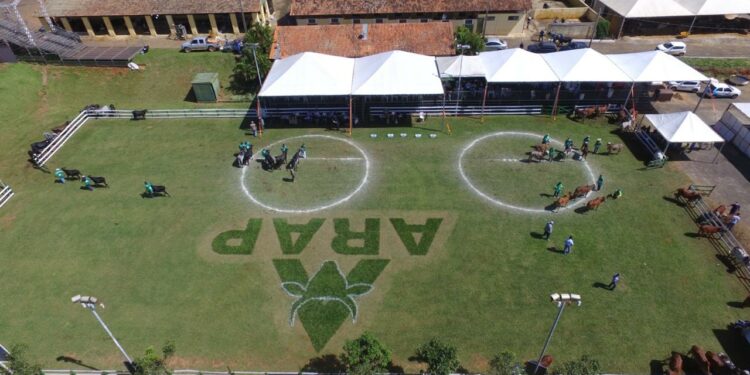 Com apoio da Prefeitura de Araxá, FENARAP 2025 promete movimentar o agronegócio regional durante a 45ª ExpoAraxá