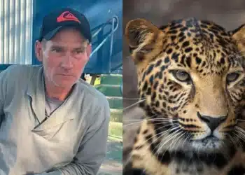 No resgate de restos mortais de caseiro, equipe se depara com onça no meio da mata