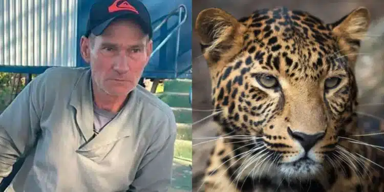 No resgate de restos mortais de caseiro, equipe se depara com onça no meio da mata