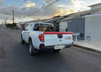 Cronograma Fumacê 🦟🚫