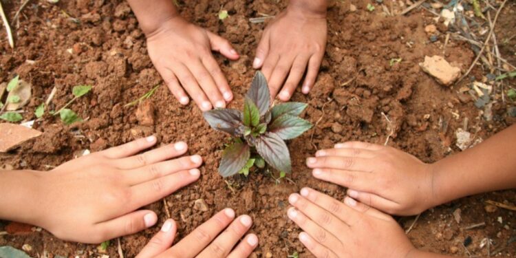 Projeto “Produzindo e Aprendendo” leva educação ambiental e alimentação saudável às escolas municipais