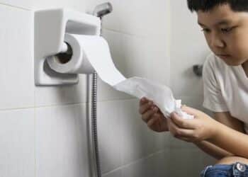 Por que no Brasil não é recomendado jogar papel higiênico no vaso sanitário?