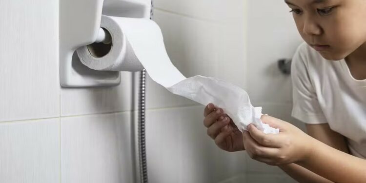 Por que no Brasil não é recomendado jogar papel higiênico no vaso sanitário?