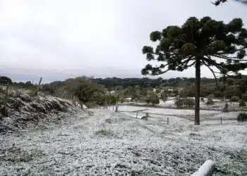 Neve, chuva congelada e geada: entenda diferença entre fenômenos que podem acontecer durante a onda de frio