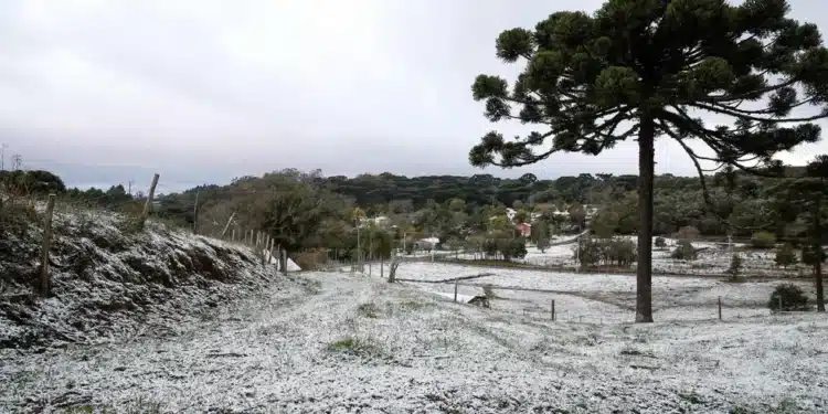 Neve, chuva congelada e geada: entenda diferença entre fenômenos que podem acontecer durante a onda de frio