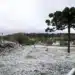 Neve, chuva congelada e geada: entenda diferença entre fenômenos que podem acontecer durante a onda de frio