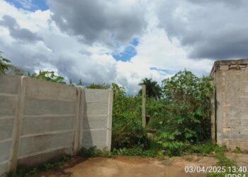 IPDSA intensifica fiscalização em terrenos baldios para prevenir incêndios