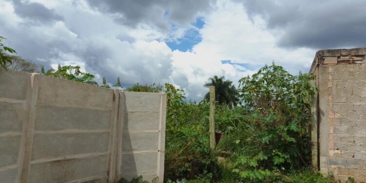 IPDSA intensifica fiscalização em terrenos baldios para prevenir incêndios