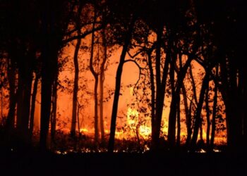 Fim do período chuvoso acende alerta para incêndios em áreas urbanas e de preservação em Araxá