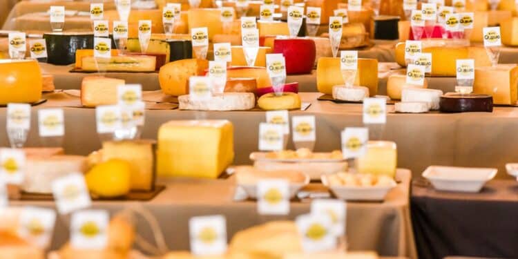 ExpoQueijo Brasil começa com recorde internacional e reforça posição como vitrine mundial do queijo artesanal