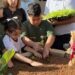 Prefeitura de Araxá e Mosaic inauguram horta sensorial e acessível na Escola Lia Salgado
