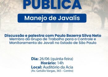 Araxá promove audiência pública sobre manejo sustentável de javalis