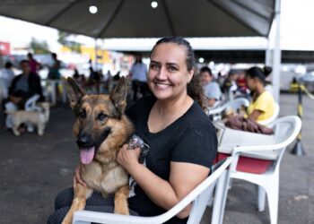 150 cães e gatos serão castrados em nova etapa do mutirão gratuito