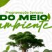 🌱 Semana do Meio Ambiente 2025 começou!