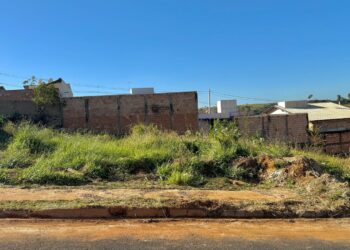 IPDSA orienta população sobre procedimentos para terrenos sujos