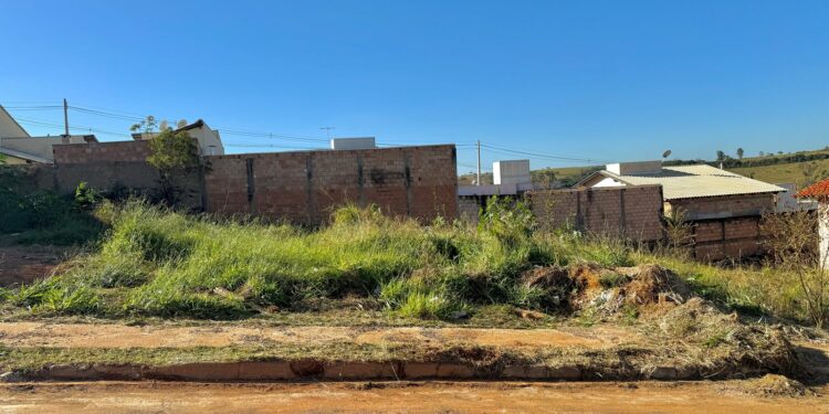 IPDSA orienta população sobre procedimentos para terrenos sujos