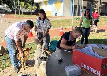 Prefeitura realiza mais uma etapa do mutirão de castração, totalizando 500 esterilizações em 2025