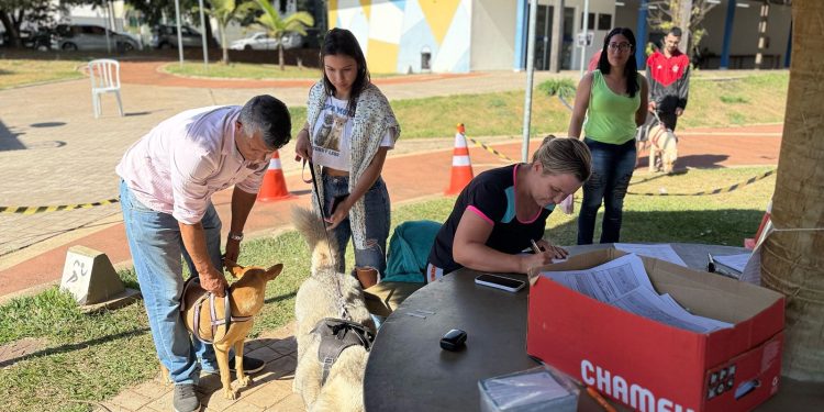 Prefeitura realiza mais uma etapa do mutirão de castração, totalizando 500 esterilizações em 2025
