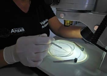 LIRAa aponta infestação de 0,3% em Araxá; Vigilância reforça cuidados antes das chuvas