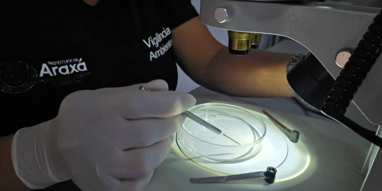 LIRAa aponta infestação de 0,3% em Araxá; Vigilância reforça cuidados antes das chuvas