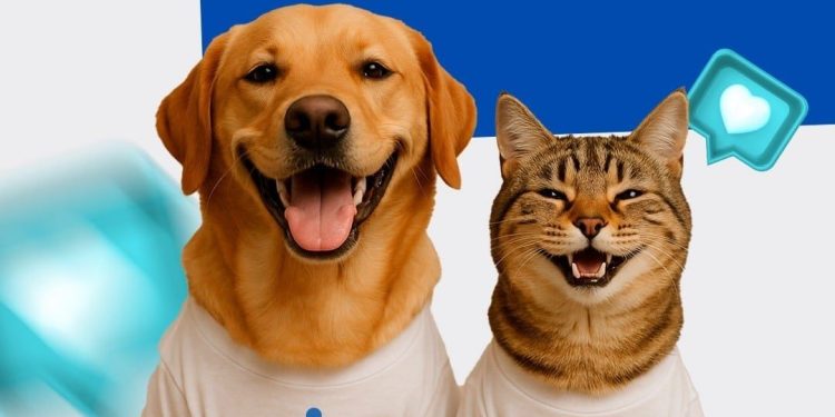 Araxá realiza vacinação antirrábica na zona urbana de 15 a 20 de setembro