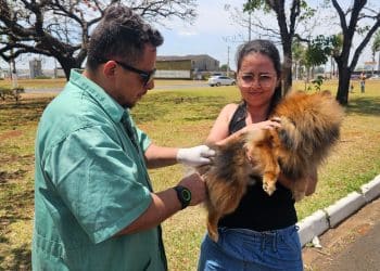Araxá realiza Dia D de Vacinação Antirrábica neste sábado (4)