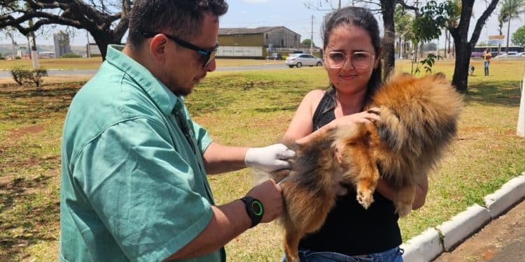 Araxá realiza Dia D de Vacinação Antirrábica neste sábado (4)