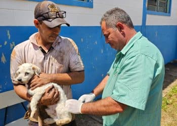 Araxá realiza reforço da vacina antirrábica para animais vacinados pela primeira vez