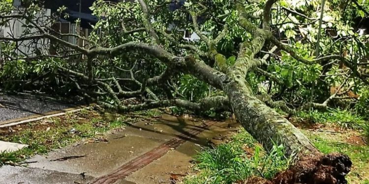 Prefeitura de Araxá alerta sobre cuidados durante o período chuvoso