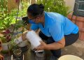 Saúde alerta para riscos de proliferação do mosquito da dengue no período chuvoso